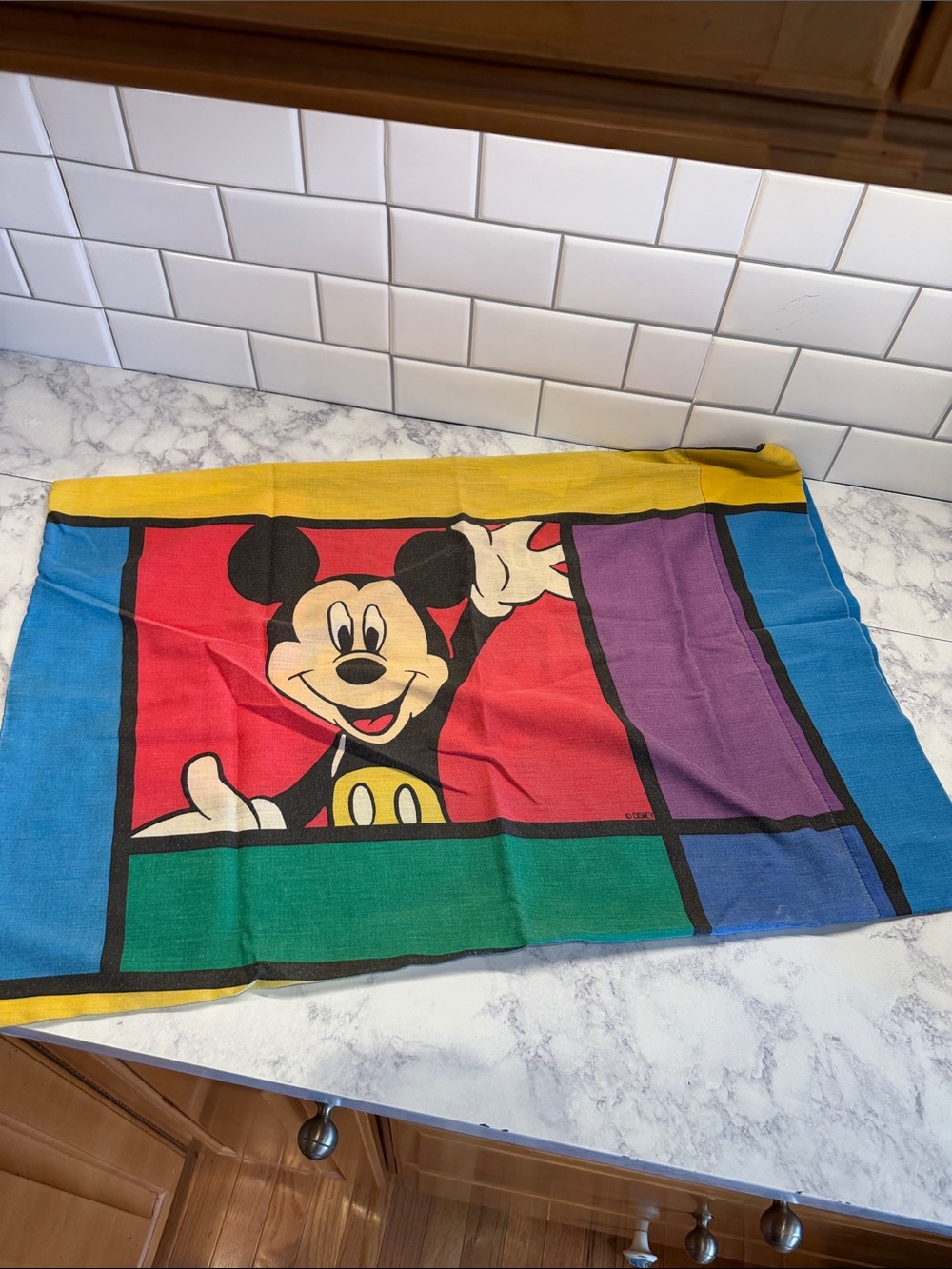 VTG Disney Mickey/Goofy Color block Pillowcase